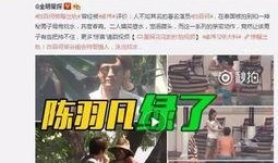 爆料出轨女友视频大全集,揭秘情感背叛的真相与反思